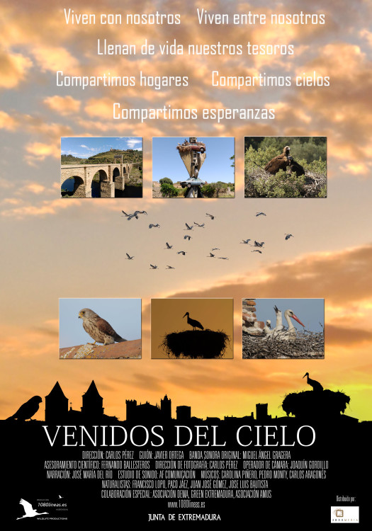 venidosdelcieloCARTEL