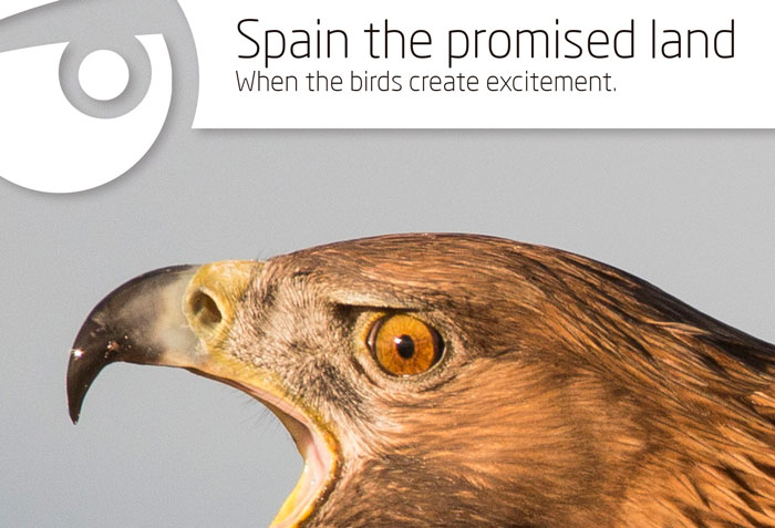 España, la tierra prometida. Cuna de estirpes